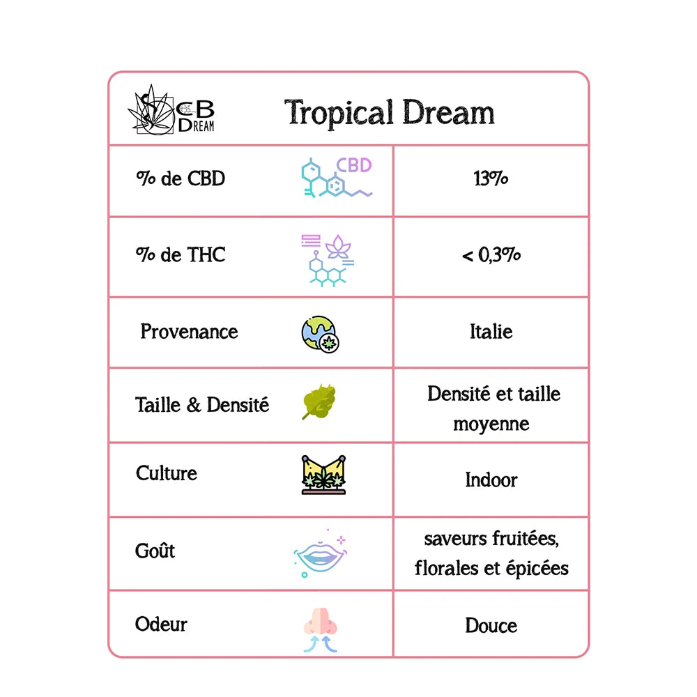 Tropical Dream