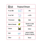 Charger l&#39;image dans la galerie, Tropical Dream
