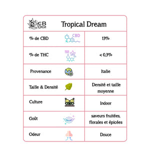 Tropical Dream